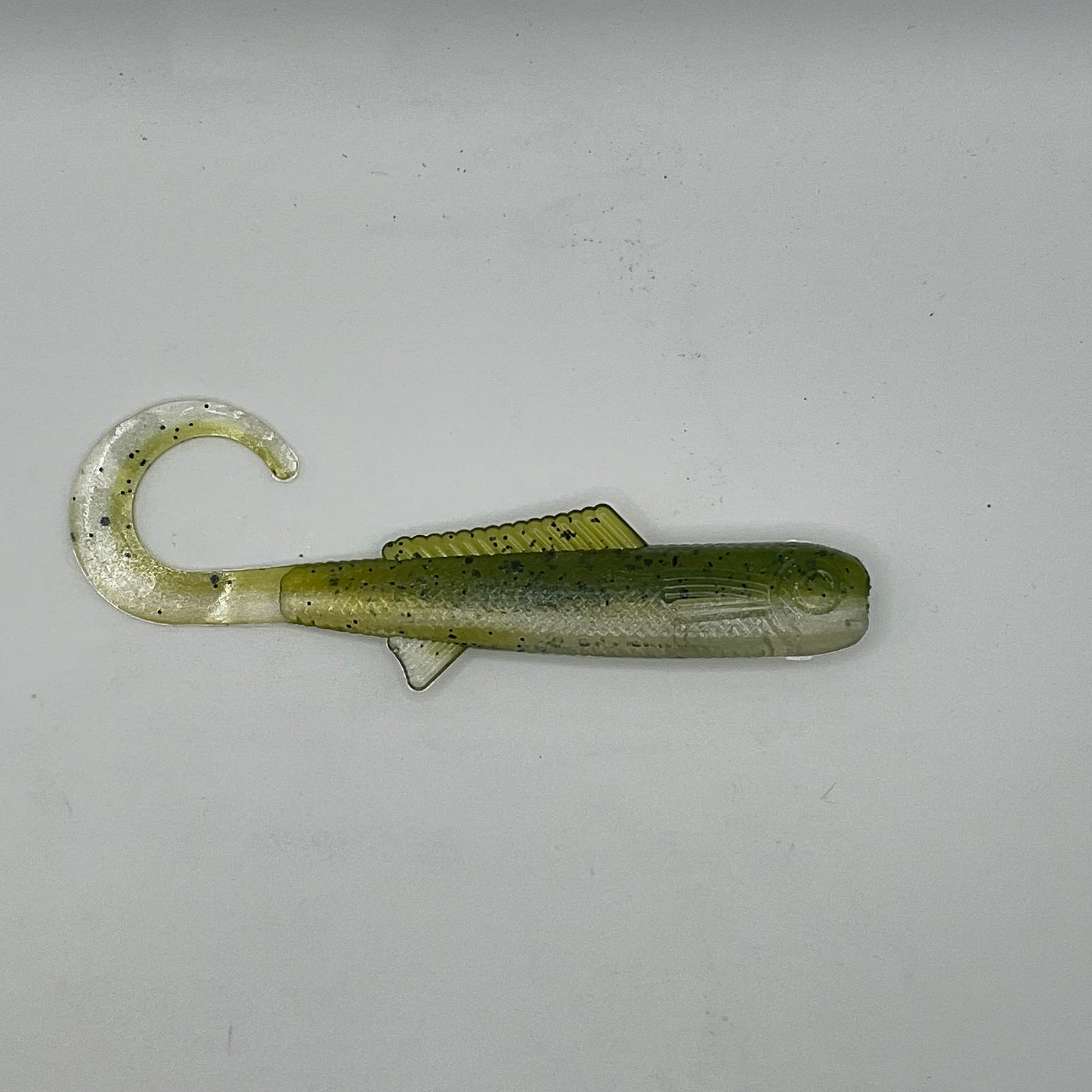 Curly Tail Shad