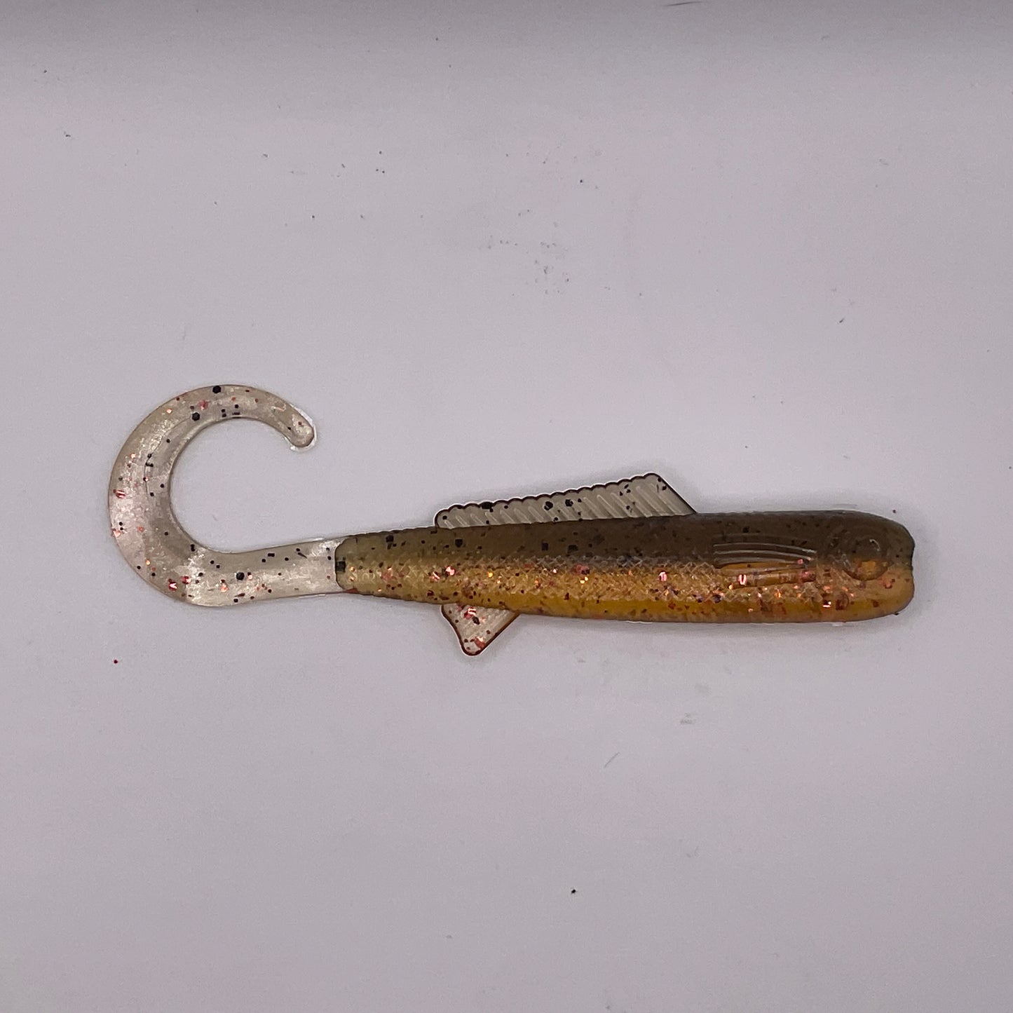Curly Tail Shad