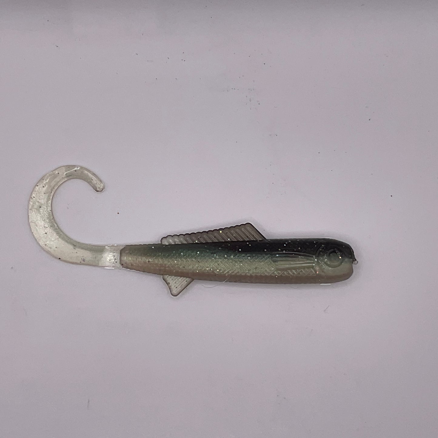 Curly Tail Shad