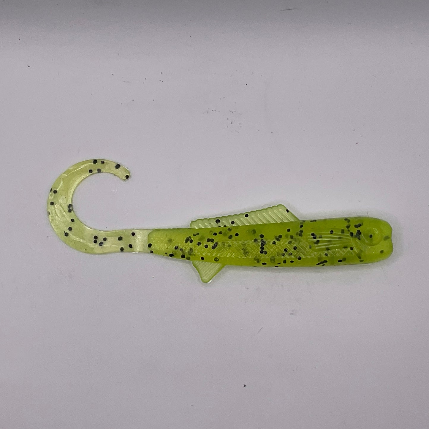 Curly Tail Shad