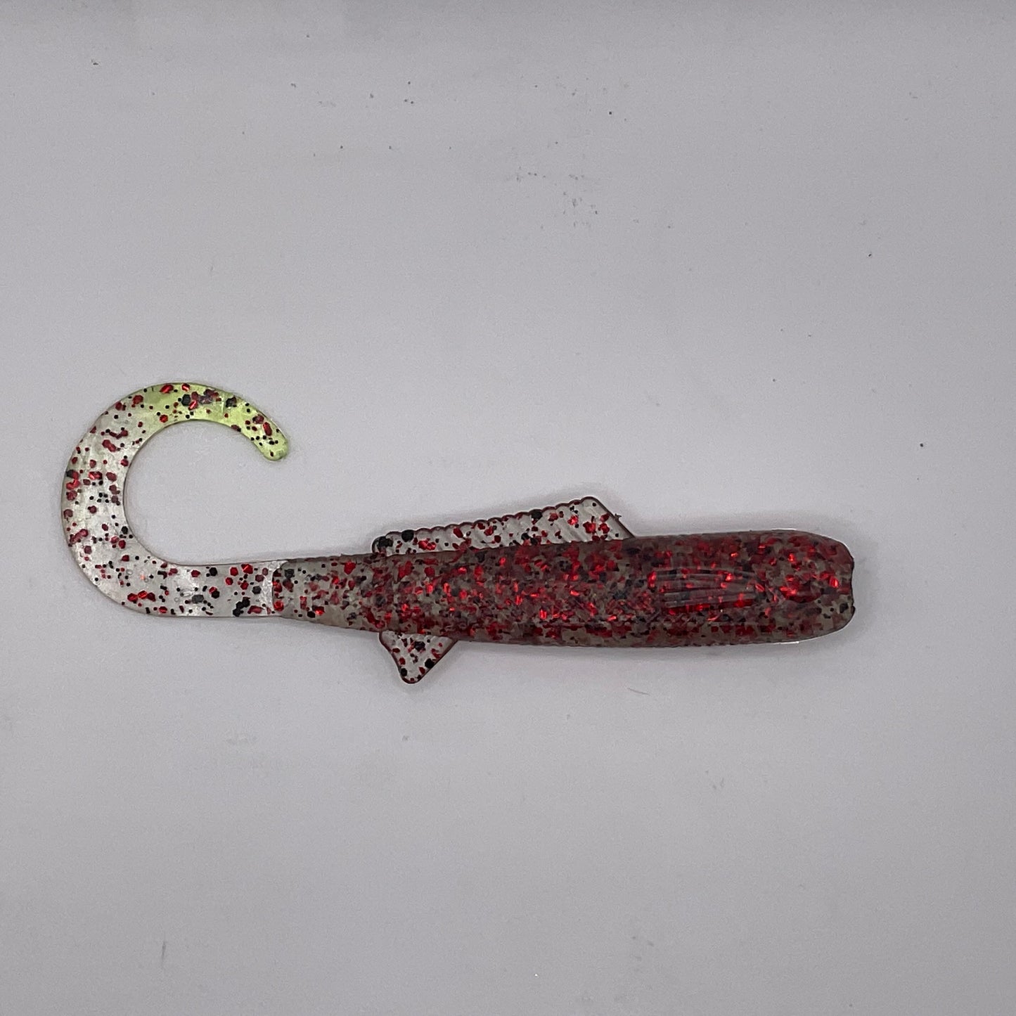 Curly Tail Shad