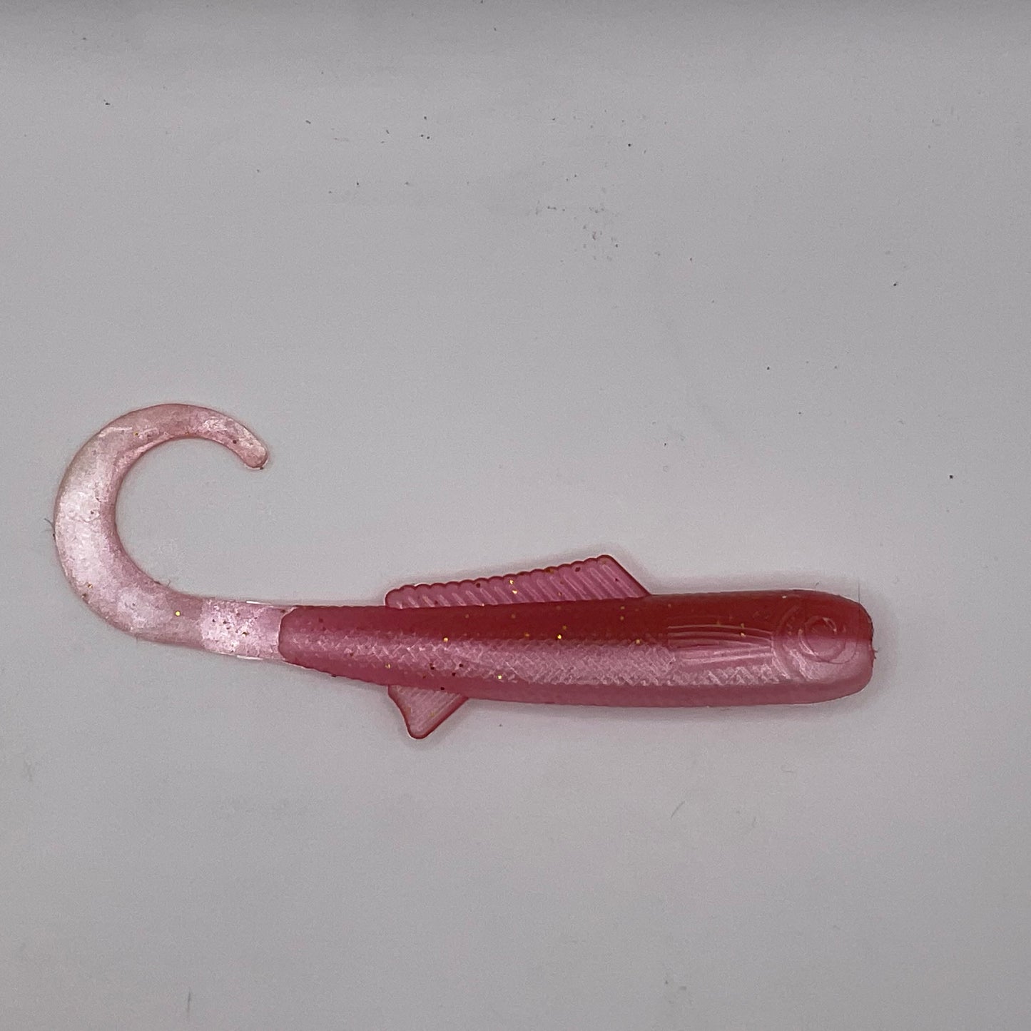 Curly Tail Shad