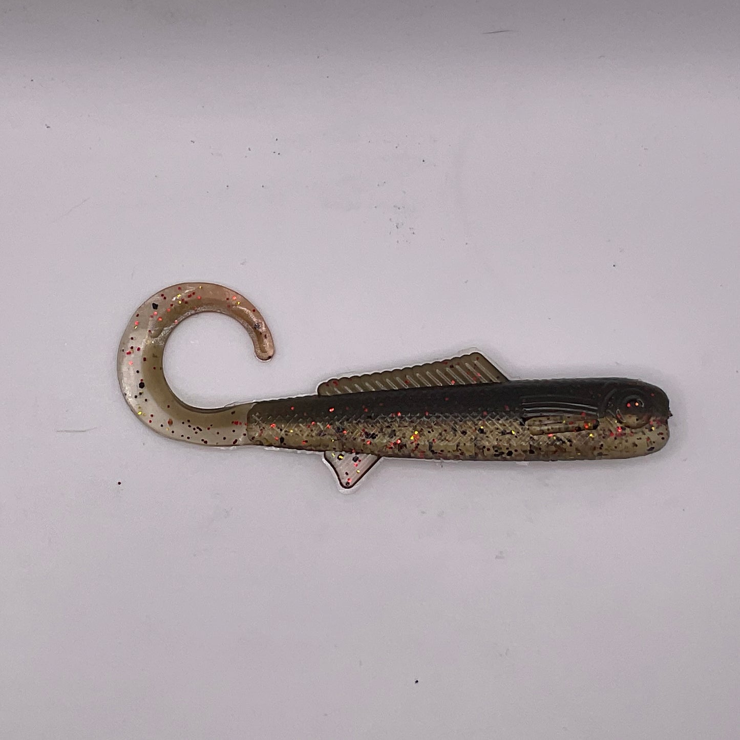 Curly Tail Shad
